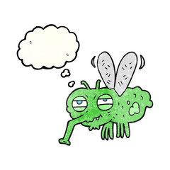 freehand drawn thought bubble textured cartoon fly
