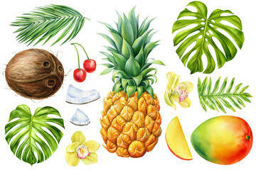 Tropical fruits set, flowers, palm leaves on isolated white background, watercolor painting. Pineapple, mango, coconut