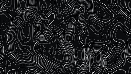 Stylized topographic map outline height in lines and contours. The concept of a conditional geographical scheme and the trajectory of the terrain. Vector illustration.