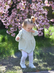 A small child is allergic to flowers. the child scratches his nose. baby in flowering trees