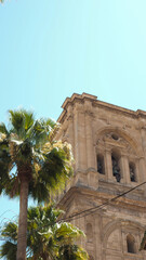 Obraz premium Tree in front of the church