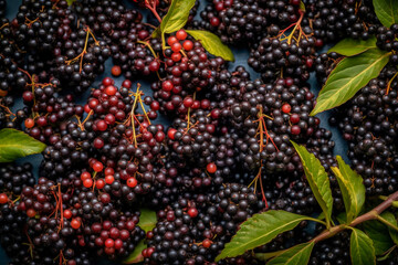 Viele Holunderbeeren auf einem Haufen mit nahtlosem Hintergrund
