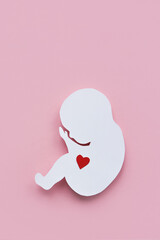 Paper silhouette of a human embryo with a red heart on a pink background. Vertical image, flat lay,...