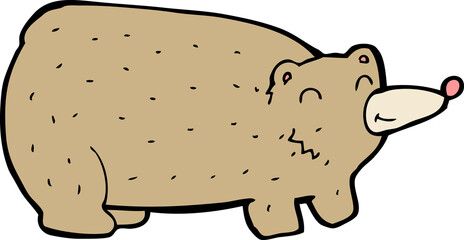 funny cartoon bear