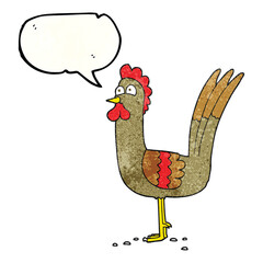 freehand speech bubble textured cartoon chicken