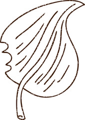 Leaf Charcoal Drawing