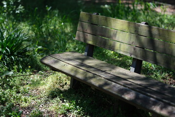公園の苔に覆われた古いベンチ