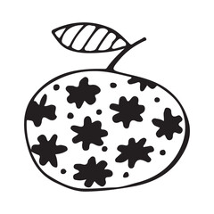 Apple. Doodle apple fruit isolated on white background. Abstract image of a fruit. Vector illustration