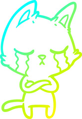 cold gradient line drawing of a crying cartoon cat with folded arms