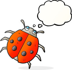 freehand drawn thought bubble cartoon ladybug