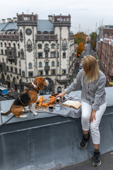 Fototapeta na wymiar Beagle dog with owner on the roof on picnic