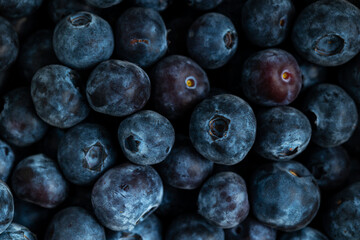 Blueberry photography, superfood