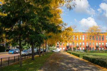 Autumn city landscape. A park with tall yellow and green trees in the city. Trimmed green bushes