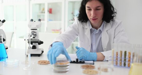Scientist in laboratory conducts experiments with grains. Genetically modified corn and cereals - Powered by Adobe