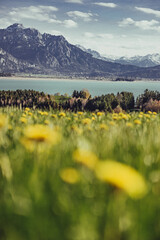 Fr&uuml;hling in den Bergen