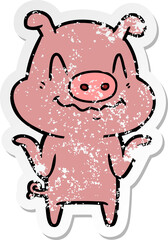 distressed sticker of a nervous cartoon pig