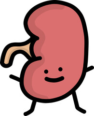 Organ Buddies: Kevin the Kidney