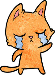 crying cartoon cat pointing
