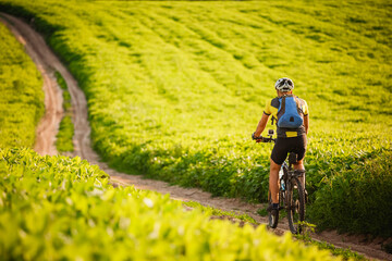 Fototapeta premium Young cyclist cycling in the spring meadow