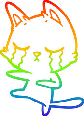 rainbow gradient line drawing of a crying cartoon cat dancing