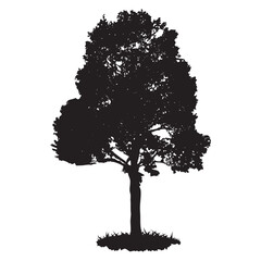 Flower or tree silhouette icon.
