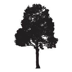 Fototapeta premium Flower or tree silhouette icon. 
