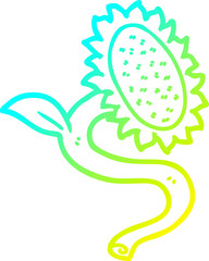 cold gradient line drawing of a cartoon sunflower