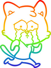 rainbow gradient line drawing of a crying cartoon cat