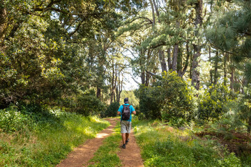 Fototapeta premium A young man on a nature trail in La Llania on El Hierro, Canary Islands. lush green landscape