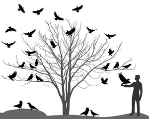 Silhouettes of ravens and crows on tree. Man with crow on his arm.