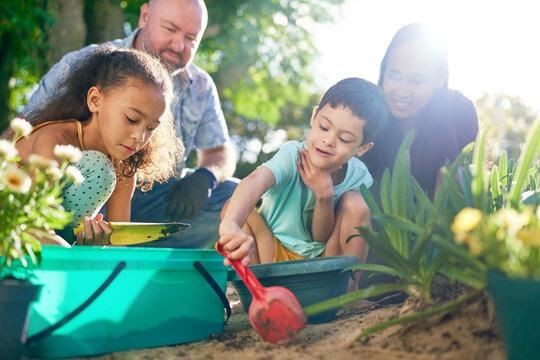 Family digging in dirt, planting flowers in sunny summer garden