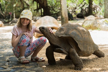 A little girl petting a giant tortoise in a zoo on the island of Mauritius, Africa