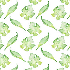 Pattern of watercolor green leaves elements.Botanical pattern solated on white background suitable for Wedding Invitation, save the date, thank you, or greeting card.