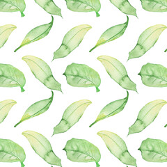 Pattern of watercolor green leaves elements.Botanical pattern solated on white background suitable for Wedding Invitation, save the date, thank you, or greeting card.