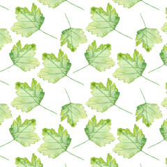 Fototapeta na wymiar Pattern of watercolor green leaves elements.Botanical pattern solated on white background suitable for Wedding Invitation, save the date, thank you, or greeting card.