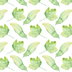 Pattern of watercolor green leaves elements.Botanical pattern solated on white background suitable for Wedding Invitation, save the date, thank you, or greeting card.