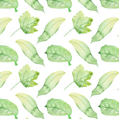 Pattern of watercolor green leaves elements.Botanical pattern solated on white background suitable for Wedding Invitation, save the date, thank you, or greeting card.