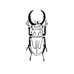 Vector sketch hand drawn beetle silhouette, doodle art with black lines