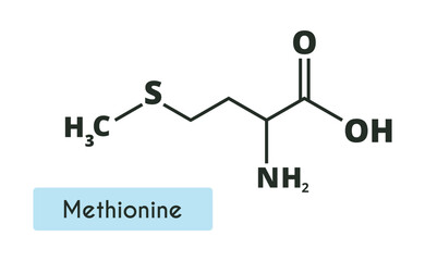 Methionine Molecule Structure.(l- methionine, Met , M) Skeletal formula. Amino acid.