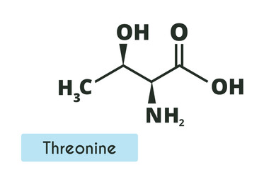 Threonine Molecule Structure.(l-threonine, Thr, T). Skeletal formula. Amino acid.