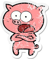 distressed sticker of a cartoon pig shouting