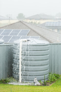 Heavy rainfall in backyard with water overflowing from tank