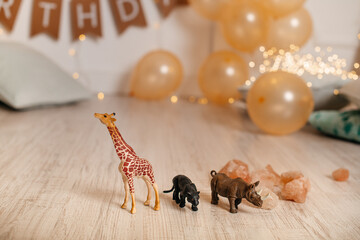 chic photo session in a photo studio for a one-year-old boy in the style of the jungle, safari