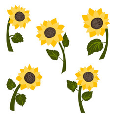 vector set of sunflowers, bright sunny flowers, elements for design, flat style