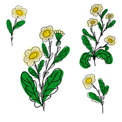 daisies, colored botanical doodle set, vector doodle, hand drawn doodles, minimalism, elements for design	
