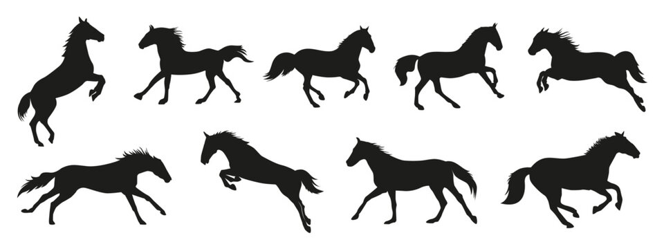 Running horse silhouette. Vector illustration.