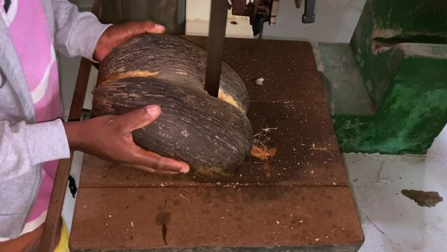 Coco de mer collections- Man cutting coco de mer for selling the empty nut, and the meat for exportation 2
License company in Seychelles