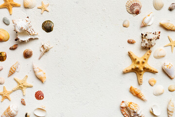 Fototapeta na wymiar Summer time concept Flat lay composition with beautiful starfish and sea shells on colored table, top view with copy space for text
