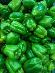 Fototapeta na wymiar green and red peppers