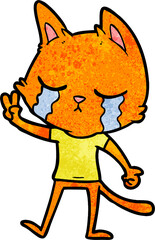 crying cartoon cat